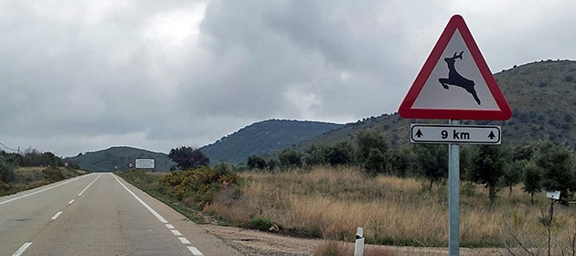 Especies_cinegéticas